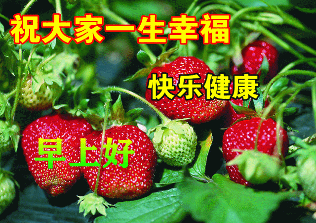 早上好的表情包，2022最火早上好表情包（2022最新早上好表情包）