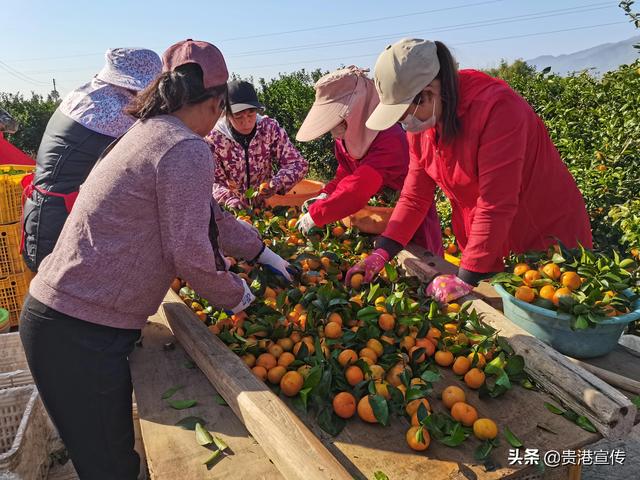 范家大院简介,《范府大院》的大结局(这里是思旺!) 范家大院简介,《范府大院》的大结局(这里是思旺!)
