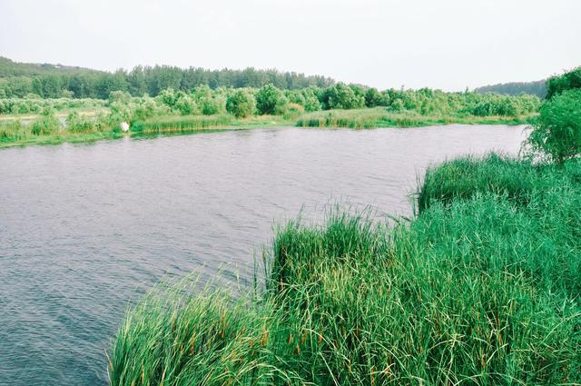 伊河水流入哪里，伊河流向哪里（伊河，流经龙门石窟的文明之流）