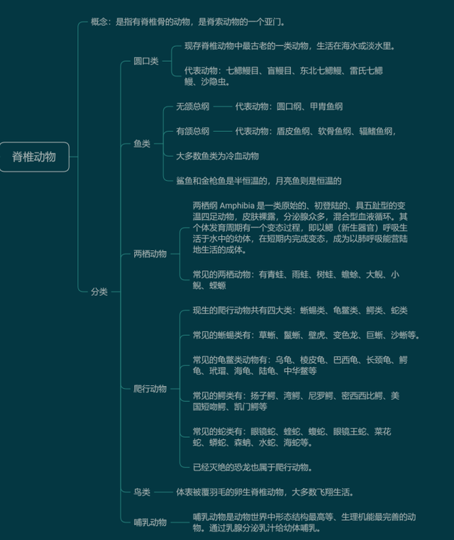 动物分为哺乳动物和什么动物，什么动物是哺乳类动物（动物是怎么分类的）