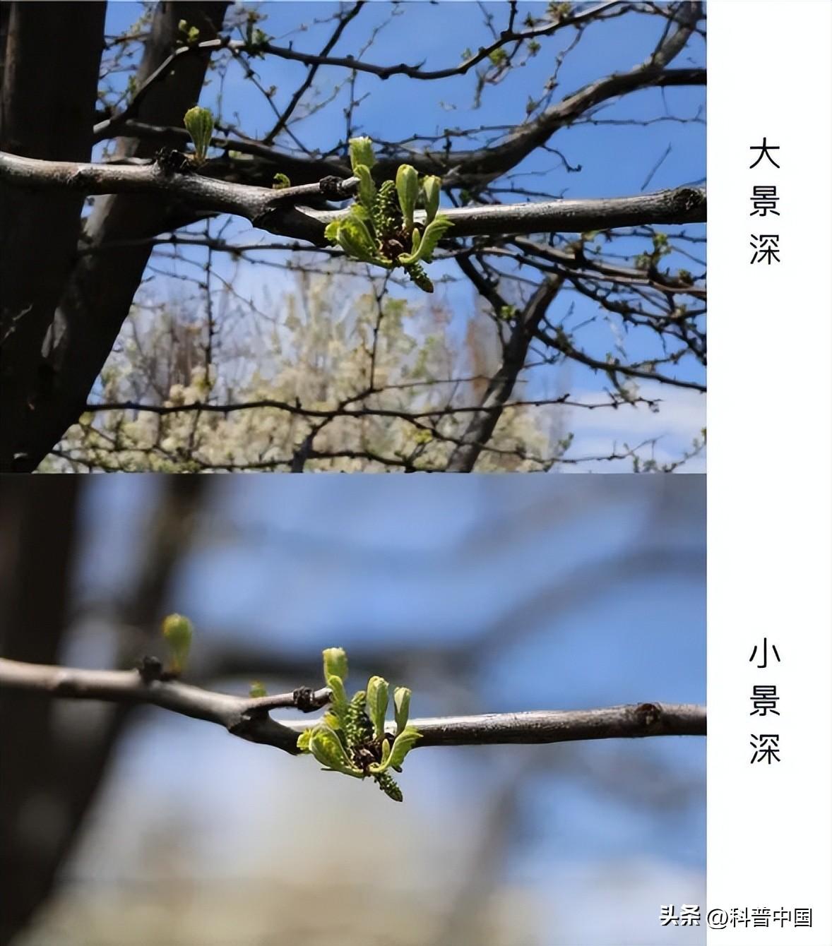 前置摄像头模糊(苹果14前置摄像头模糊怎么回事)