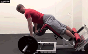 怎么练下背肌群，4招下背核心训练