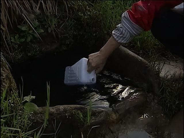 水沉香的功效 具体有哪些作用呢，水沉香的功效（四川古村发现两口怪井）