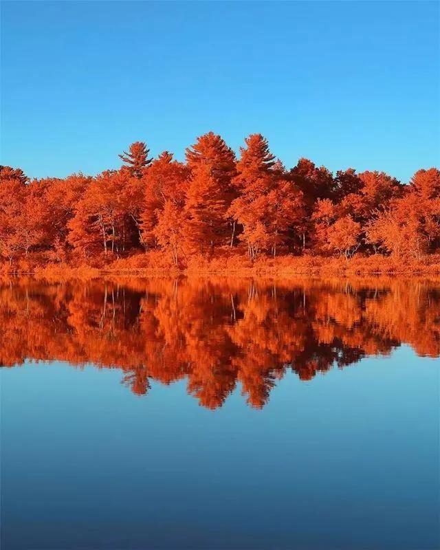 秋天是一个什么样的季节，秋天是一个什么样的季节写一段话（分享绝美秋色：叠翠流金）