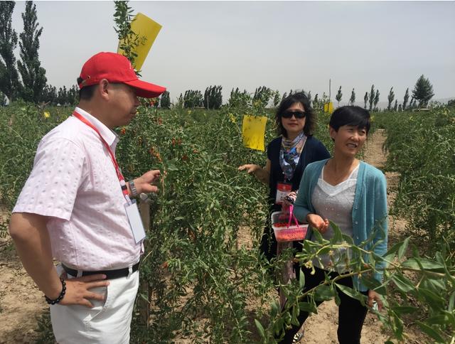 林业工程包括哪些专业-林业工程类专业名单一览表，林业工程类专业（这一“朝阳专业”太吃香）