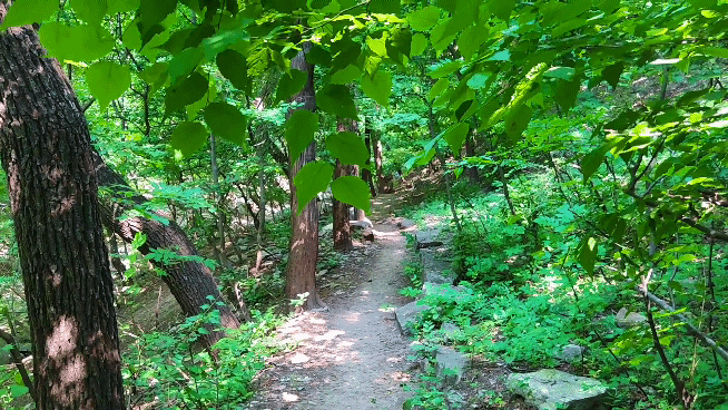 厦门龙洞风景区，厦门龙洞风景区门票多少（厦门龙洞：罕见的峡谷地貌）