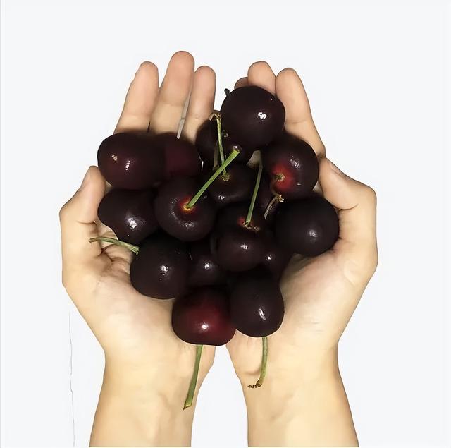 吃樱桃有什么好处，黄桃吃了有什么好处和坏处（樱桃，原来对肾病有这么多好处）