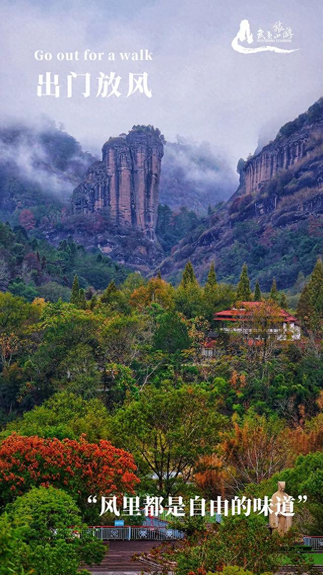 说走就走 久违的旅行，第一站：武夷山！