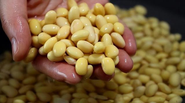 早餐吃什么比较健康，早餐吃什么最有营养又减肥（“一日三餐，早餐最为重要”）