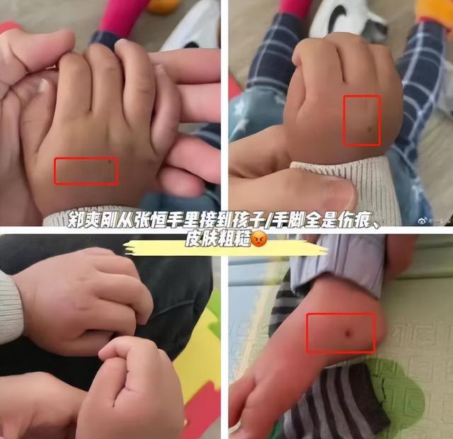 郑爽个人资料简介，终究为自己的“目无法纪”付出了代价