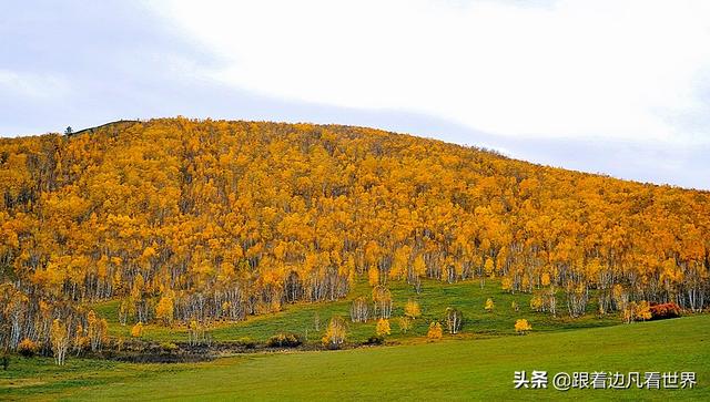 阿尔山的风景，《走进内蒙》景色迷人