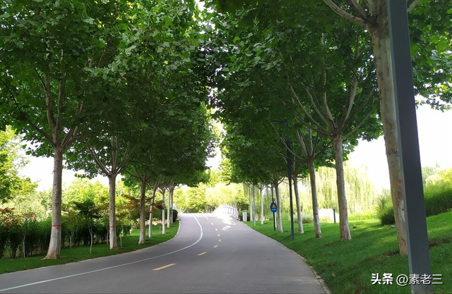 文学家的故事400，文学家的故事50字（女作家去做保姆——被训的保姆）