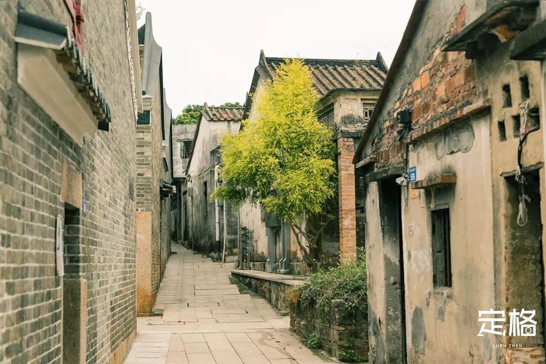 宝安中心地铁站(宝安客运中心附近地铁站)