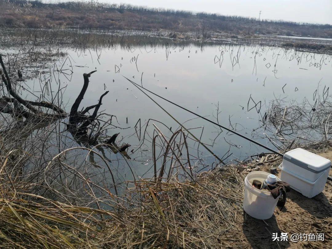 谁说春季只能用短竿？专营短节钓竿，轻巧便携，野钓竞技两相宜，颠覆你的垂钓想象！