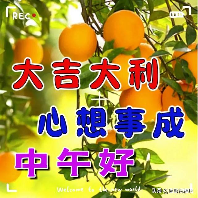 早安问候语大全，贴心的早安问候语大全（创意唯美亲人朋友早上好祝福语图片大全免打字）