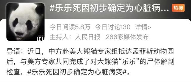 丫丫有刻板行为，刻板行为有哪些（憨厚可爱的大熊猫养起来到底有多难）