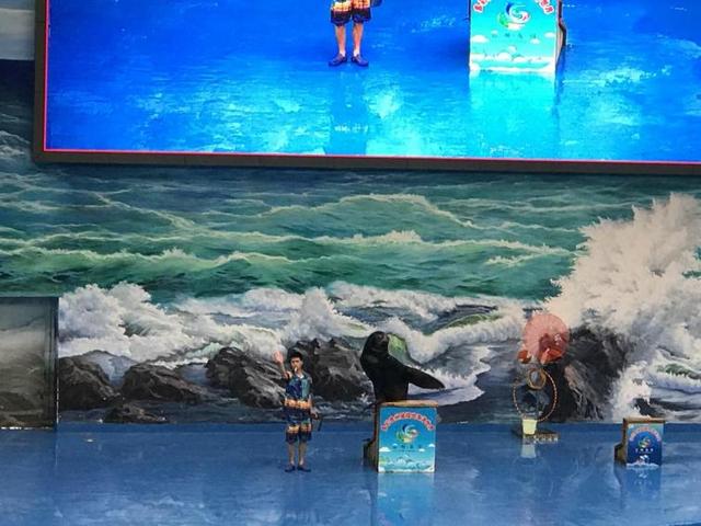 贵州旅游地图全图，贵州旅游地图全图高清版本（贵阳近郊最适合自驾旅游景点推荐）