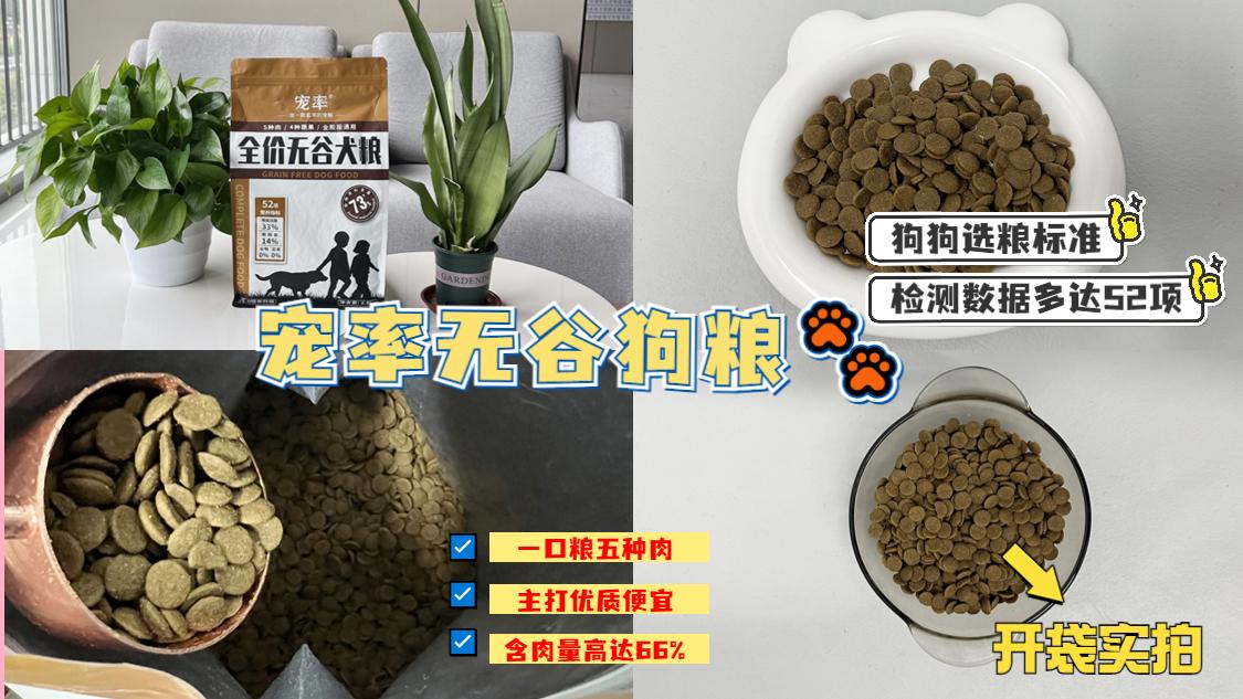 拉布拉多价格多少钱 拉布拉多狗狗的价格