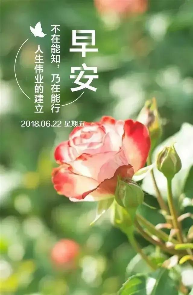 03年属什么生肖，03年属什么（2023年04月03日）