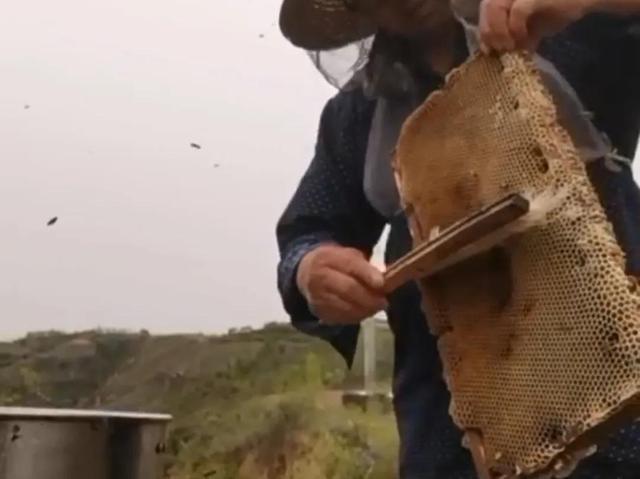 驱赶蜜蜂的最佳办法，家里有蜜蜂怎么驱赶（养蜂员有几种驱赶蜜蜂的方法）