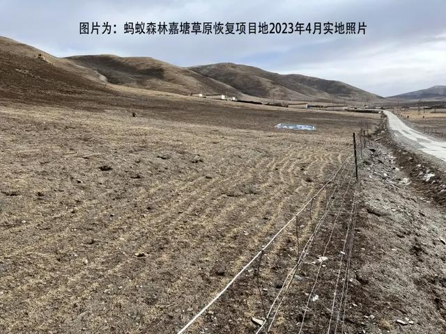 支付宝蚂蚁森林，支付宝有多少蚂蚁森林种树（支付宝“蚂蚁森林”被曝大面积污染环境）