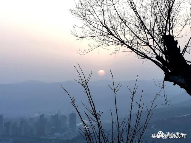 大地复苏是什么意思，春风渐暖，大地复苏