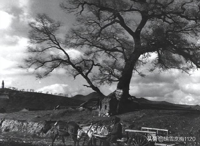 土地庙对联加横批7字，土地庙宇对联七字（旧时的土地庙及其对联）