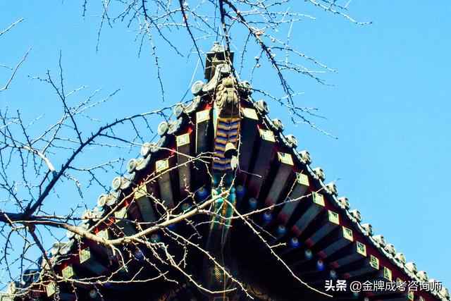 宜宾职业技术学院重点专业有哪些，宜宾职业技术学校有些什么专业（解读5所四川的优质高职院校）