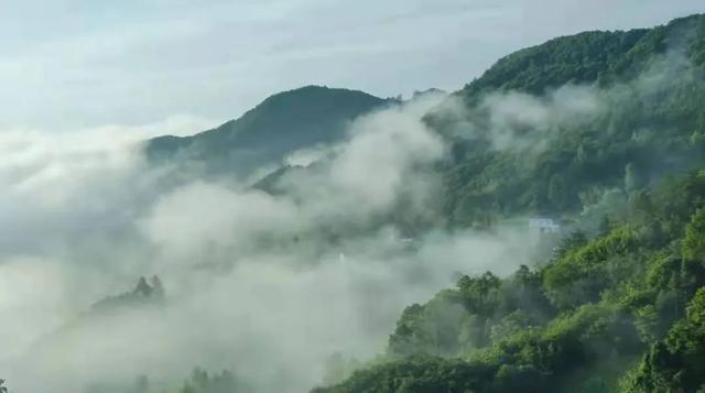 千佛山森林公园，千佛山在哪（不收门票的5个成都周边“小森林”）