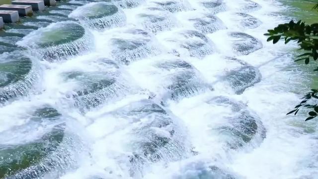江浙沪十大亲子民宿，暑假可用的莫干山酒店民宿套餐