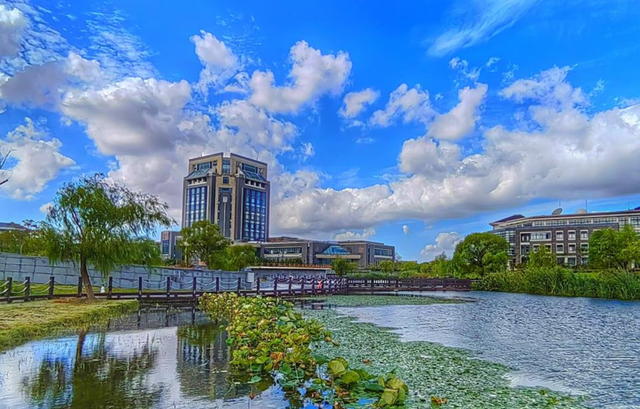 上海海事大学是211大学还是985大学，上海海事大学是985大学还是211大学（海事大学和海洋大学有什么区别）