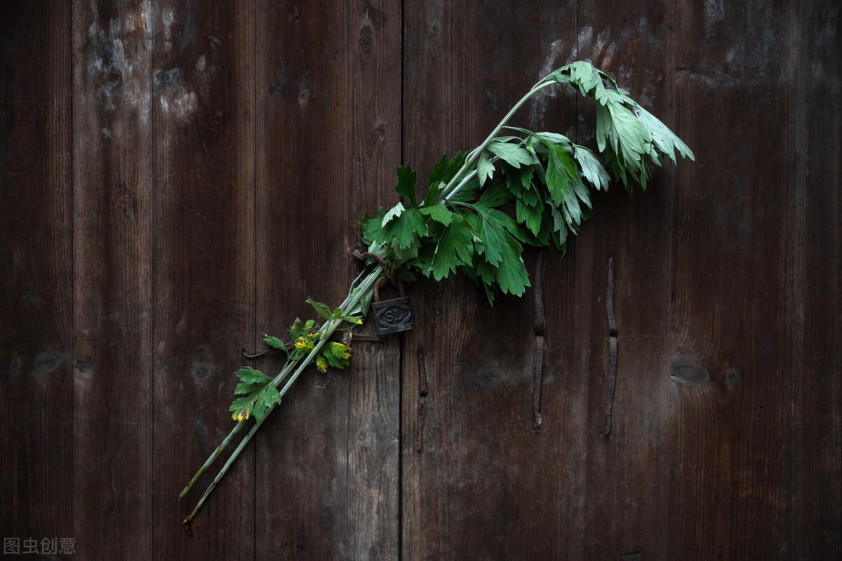 端午节挂艾草的寓意，端午节挂艾草的寓意简介（端午节在门口插艾草的寓意）
