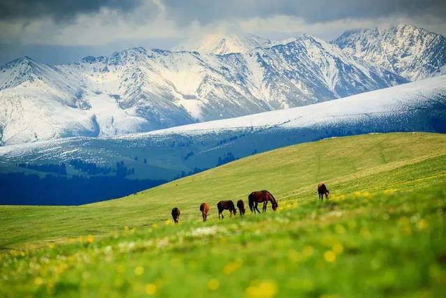 暑假去哪里旅游好，暑假去哪里旅游好玩2021（最适合去的12个美景地）