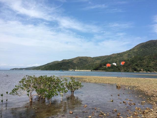 深圳百公里徒步，徒步百公里总结（深圳户外徒步活动—香港麦理浩径二段）