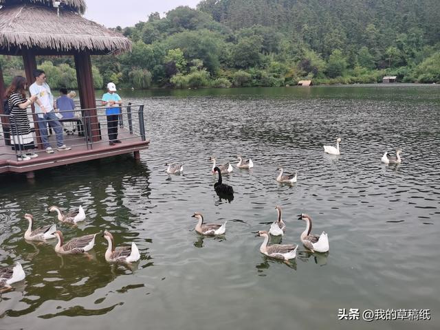 十一假期出游可畅玩银杏湖乐园，湖光山色风景迷人