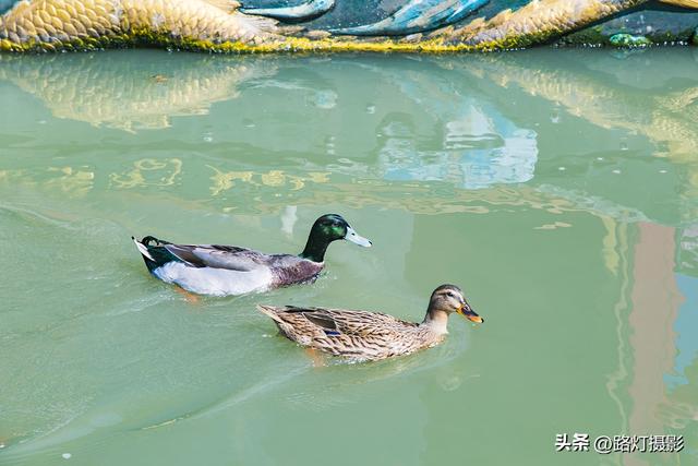 上有天堂下有什么，上有天堂的下一句是什么（中国被誉为“人间天堂”的2座城市）