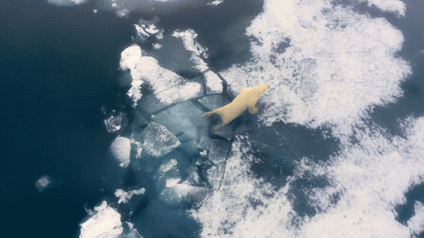 2022年番号作品封面大全，2022年十大日本女优排行榜（开年14部爆款佳片，必看！）