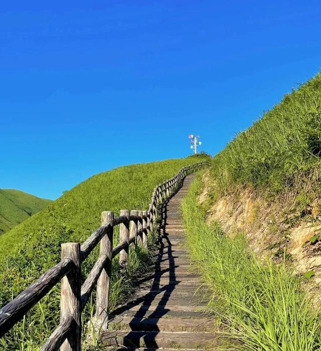 不如名师指路前面一句是什么，不如名师指路前面一句是什么成语（就是看透而不说透）