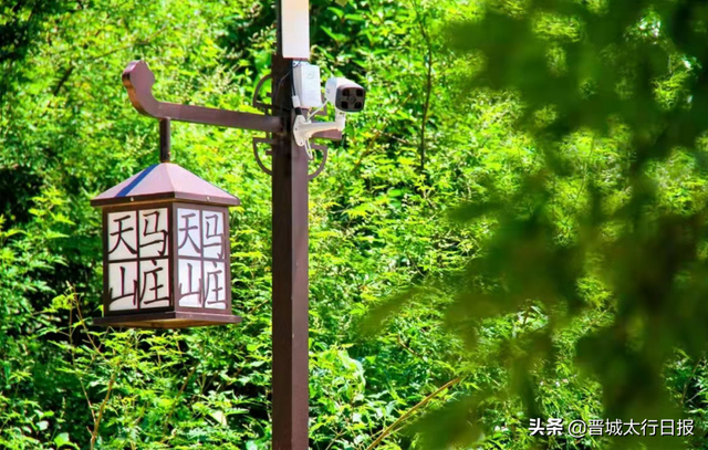 山西晋城旅游景点，晋城市各旅游景点分布图（晋城这15个特色地方不得不去）