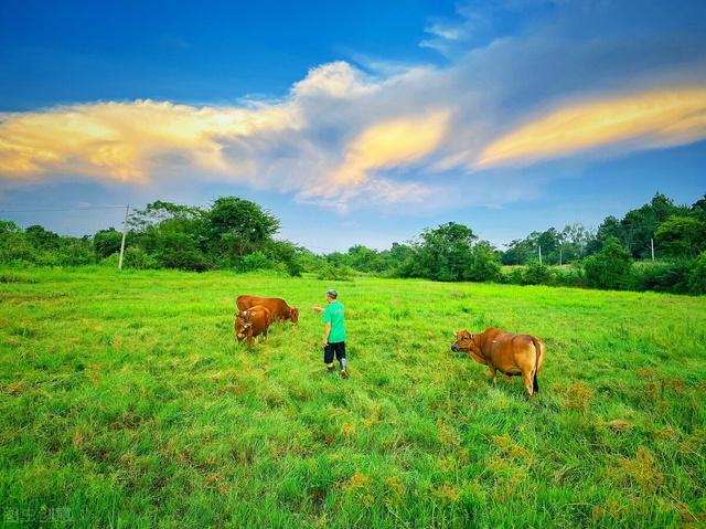 有雨山戴帽无雨半山腰什么意思，有雨山带帽,无雨山半腰（山戴帽云拦腰、乌头风白头雨）