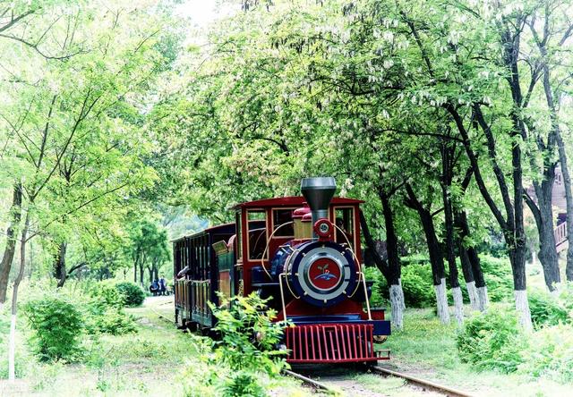 北京湿地公园有哪些景点好玩，北京公园推荐︱10个值得一去的免费公园