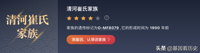 血统是什么意思，锤系血统是什么意思（中国人为什么从来都不讲血统）