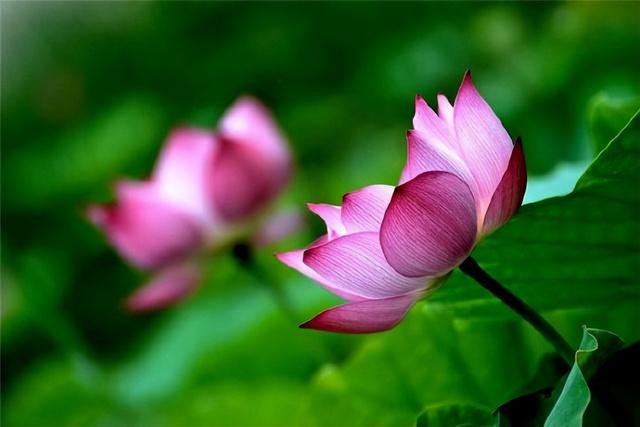 温暖人生的哲理句子，温暖人生的哲理句子简短（触动人心的哲理语录）