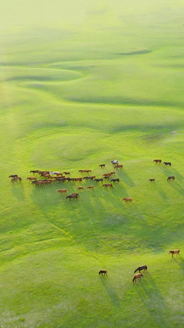 毕业哭到爆的美文，毕业季朋友圈配文（人生难得毕业季<随笔>）