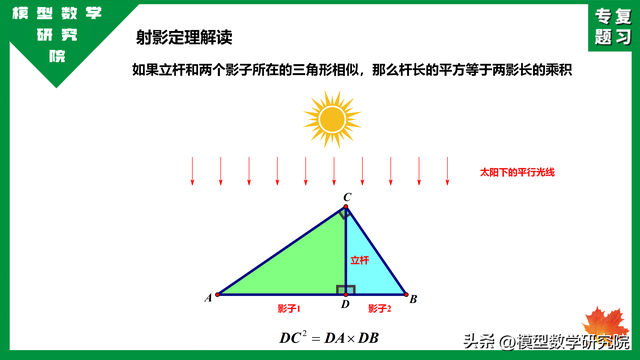 什么是数学上的射影定理，中考专题：射影定理小常识