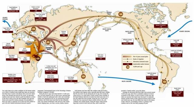 羊驼为什么吐口水，小羊驼最便宜一只多少元（《羊驼》为什么爱吐口水）