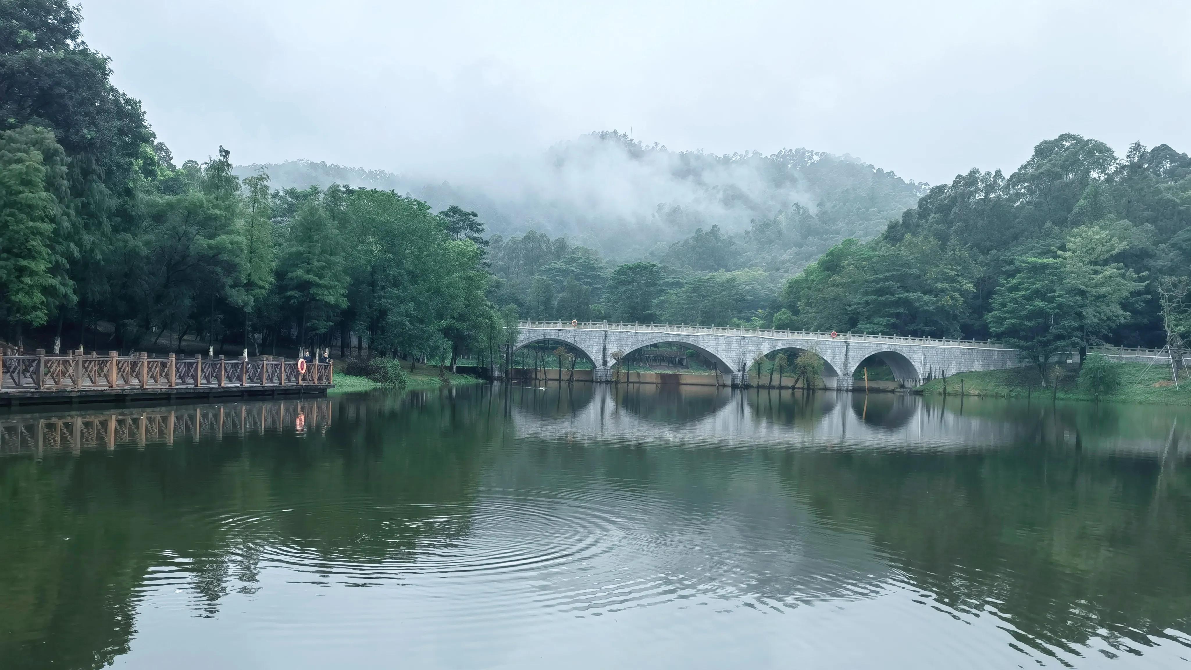 大夫山(大夫山森林公园也可以如此安静与美丽) - 悦闻天下