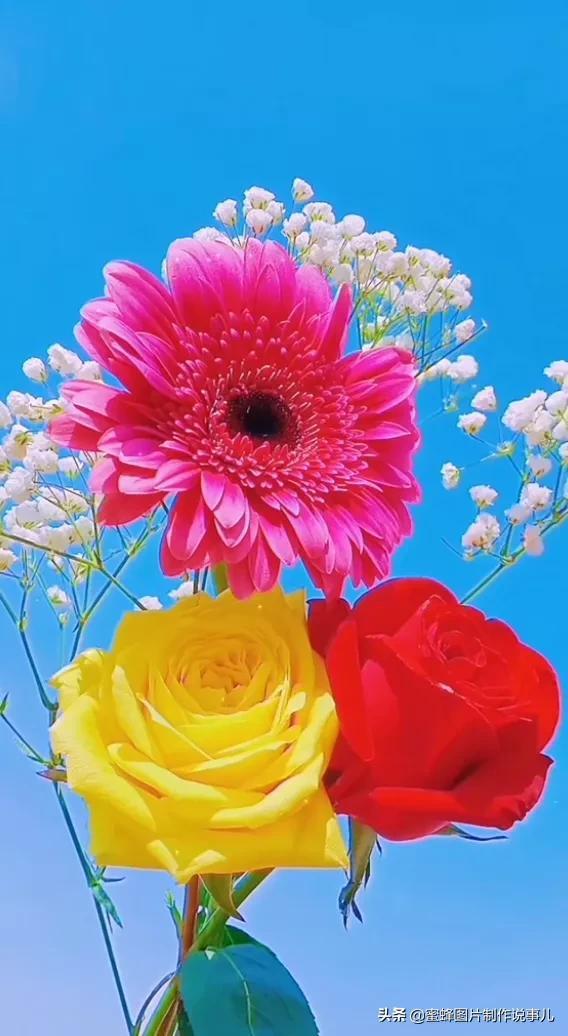 风景美图，风景美图壁纸（鲜花争艳，美景如画，过目不忘）