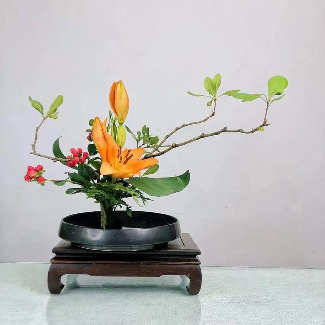 石蒜的主要特征就和种植要点详情介绍,石蒜生长环境和特点(出暑啦