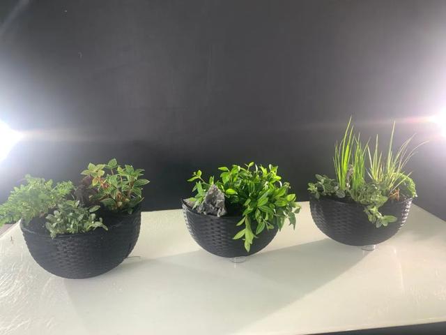 除了花艺沙龙，三八节的这几类沙龙新颖别致，前景可观